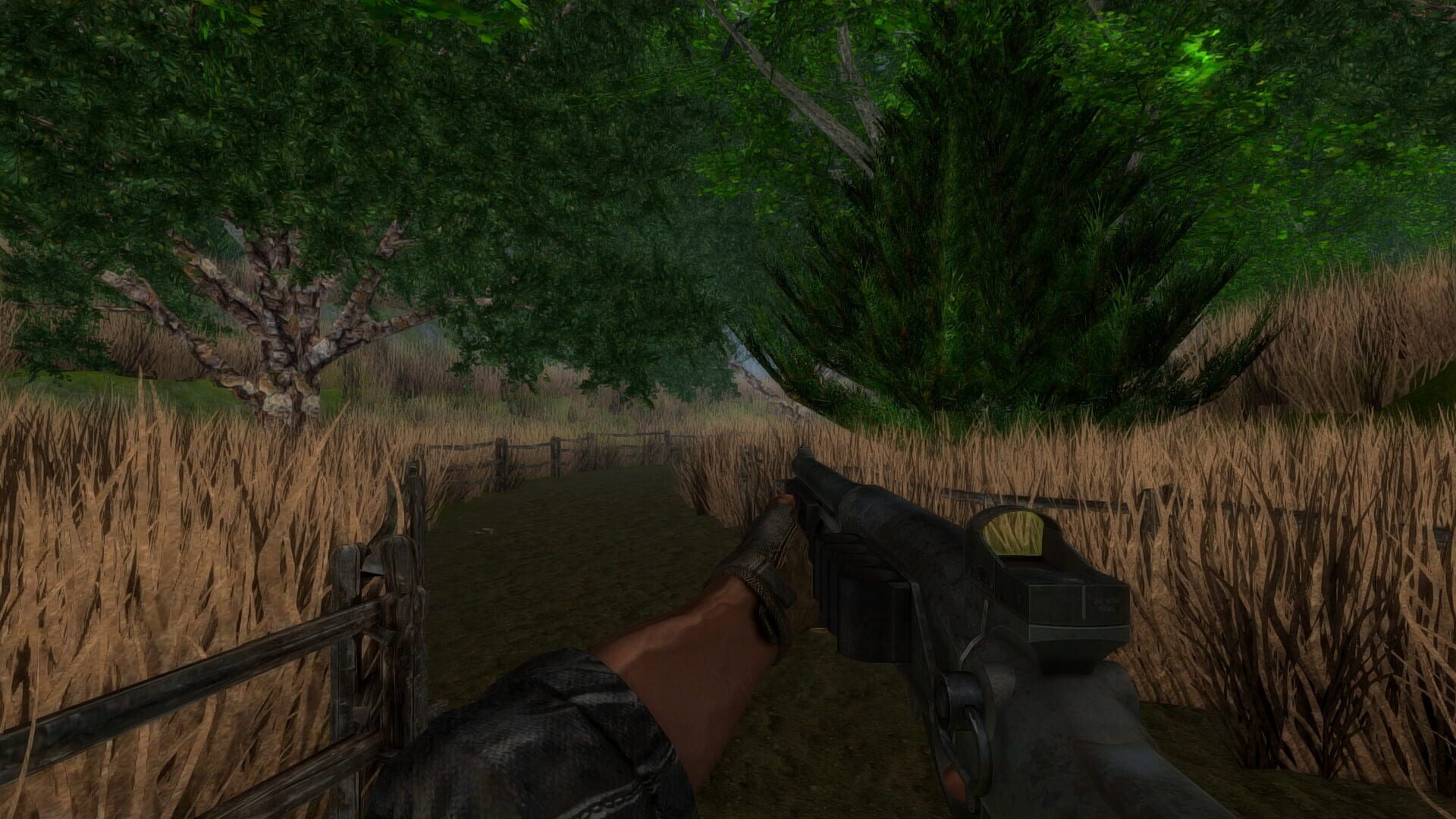 Screenshot for Dragon Storm