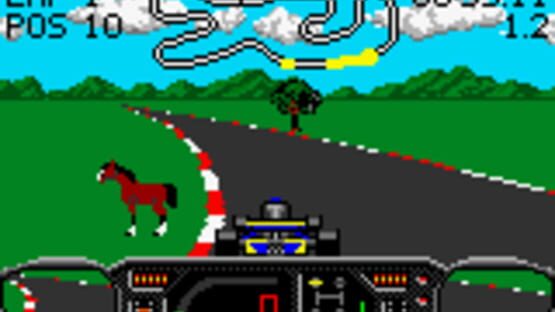 Screenshot for Checkered Flag