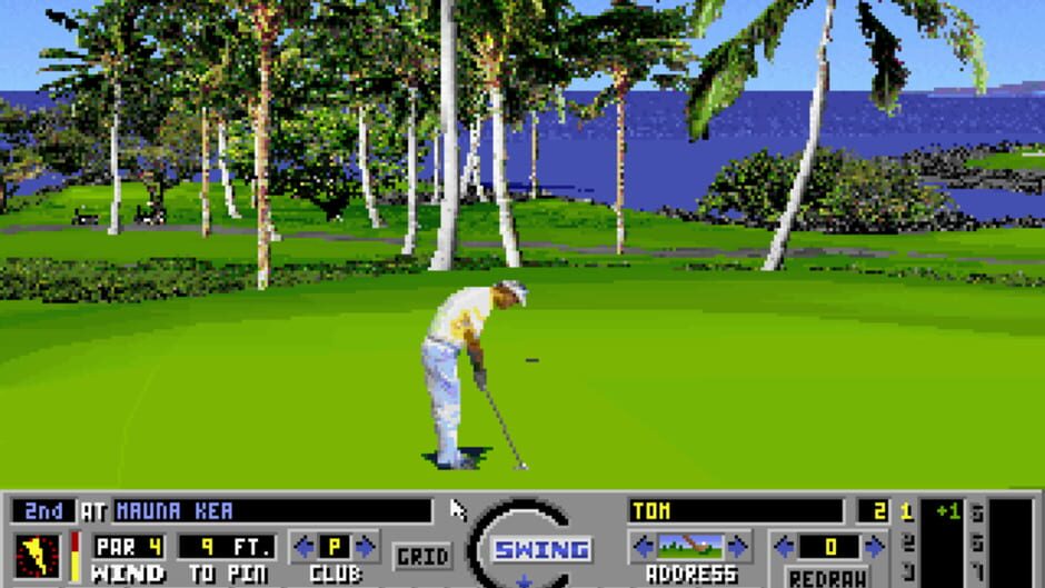 Screenshot for Links: Championship Course - Mauna Kea