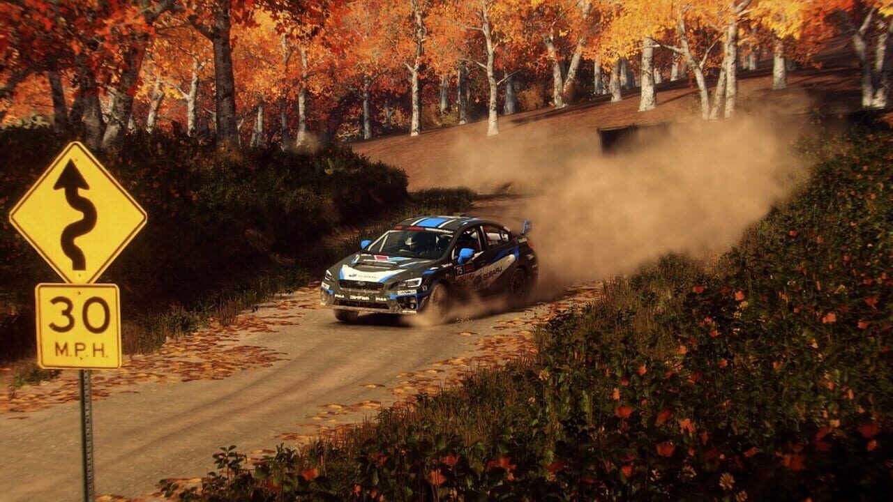Screenshot for Dirt Rally 2.0