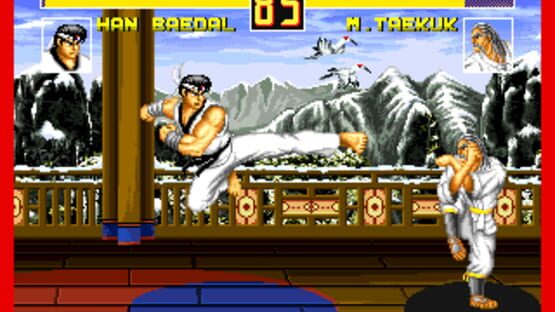 Screenshot for Fight Fever