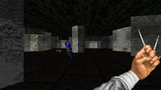 Screenshot for Rock 'n Shaolin: Legend of the Seven Paladins 3D
