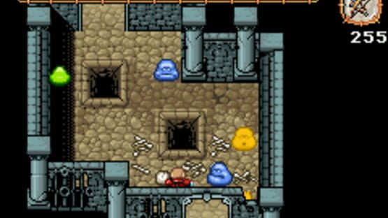 Screenshot for Anguna: Warriors of Virtue