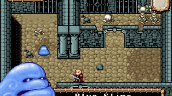 Screenshot for Anguna: Warriors of Virtue
