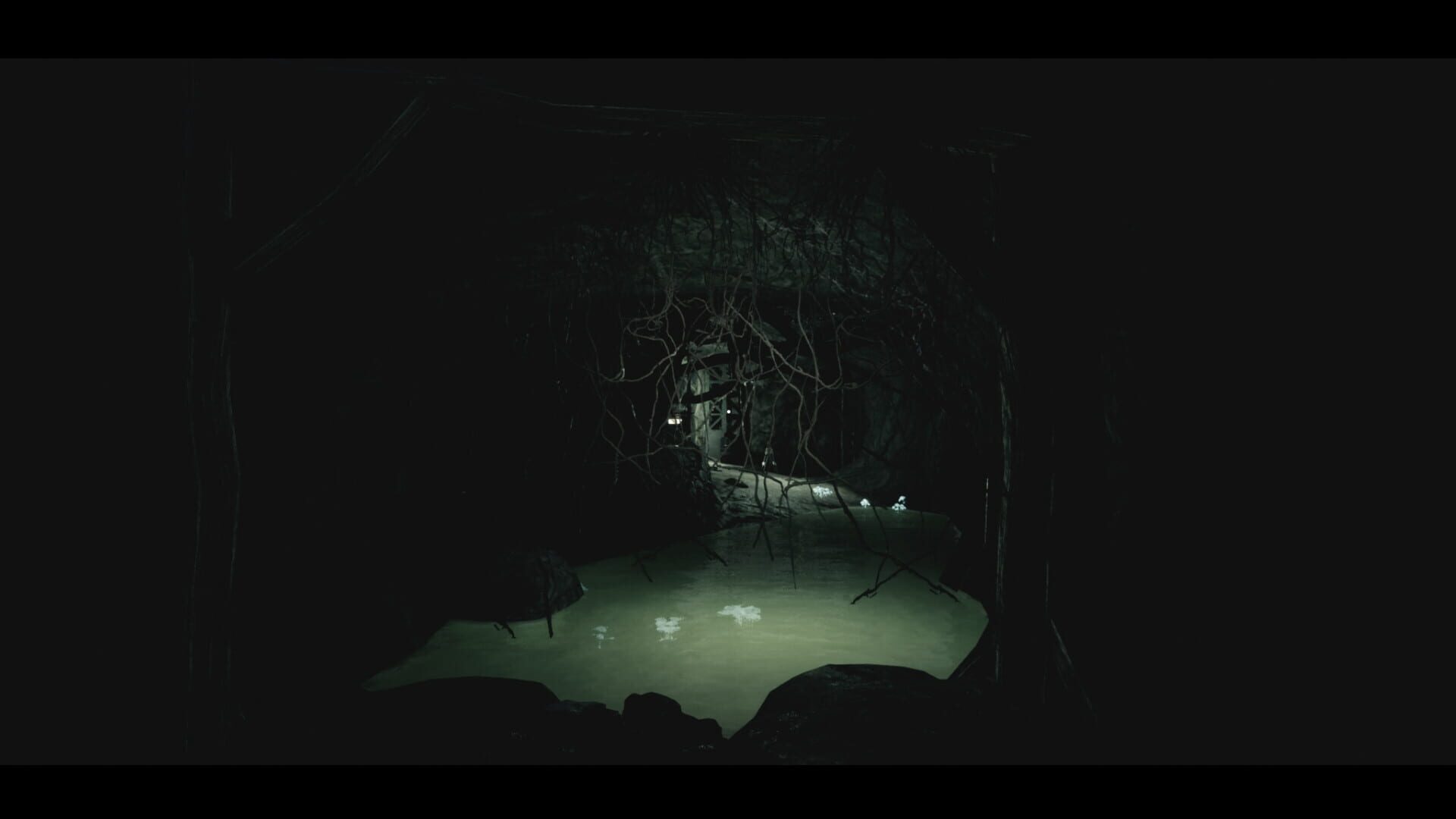 Screenshot for Ebola 2