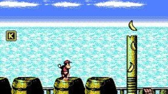 Screenshot for Super Donkey Kong 2