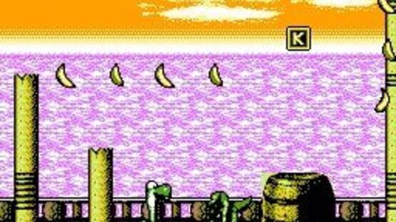 Screenshot for Super Donkey Kong 2