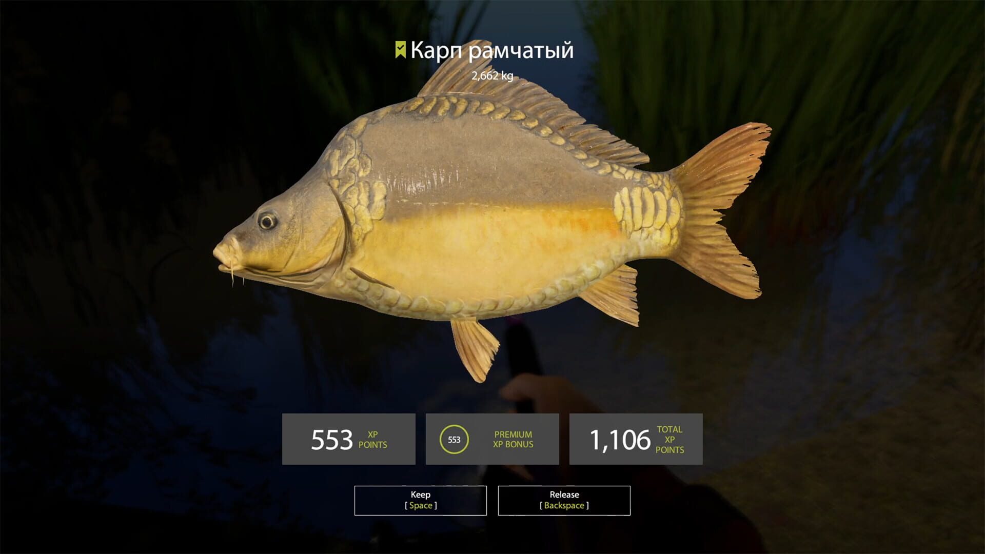 Screenshot for Russian Fishing 4: Amber Lake