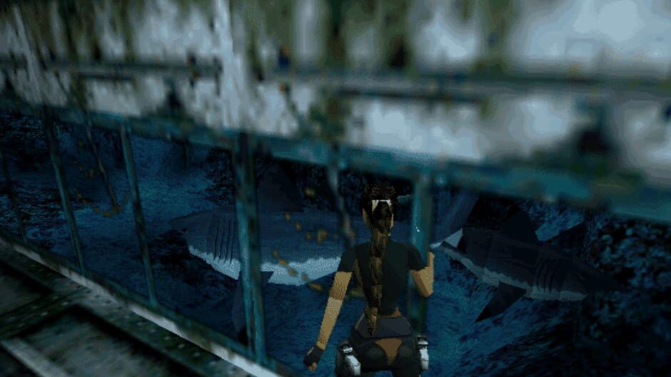 Screenshot for Tomb Raider II
