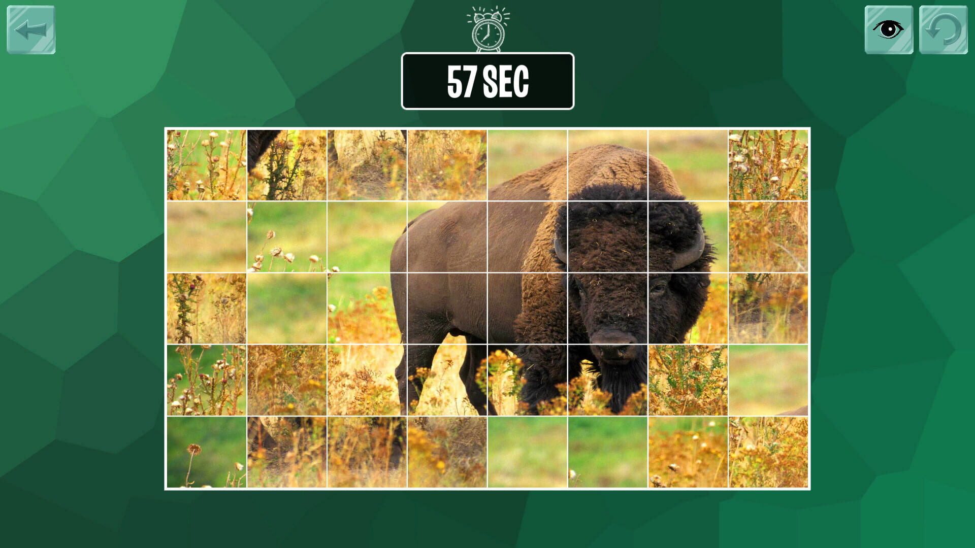 Screenshot for Easy puzzle: Animals 2