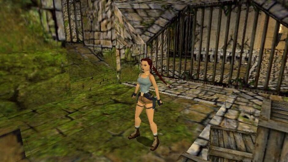 Screenshot for Tomb Raider: The Lost Artifact