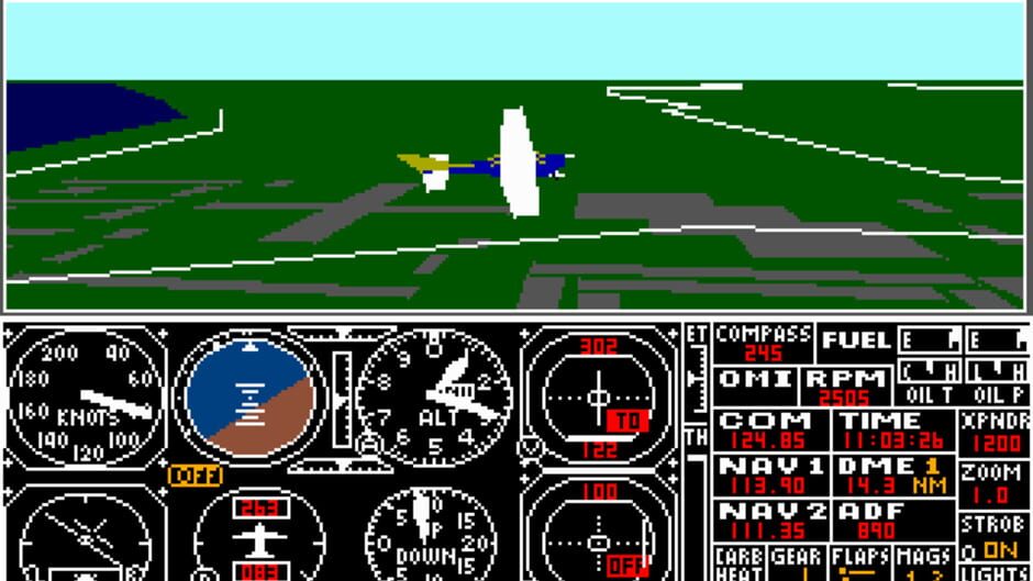 Screenshot for Microsoft Flight Simulator 3.0