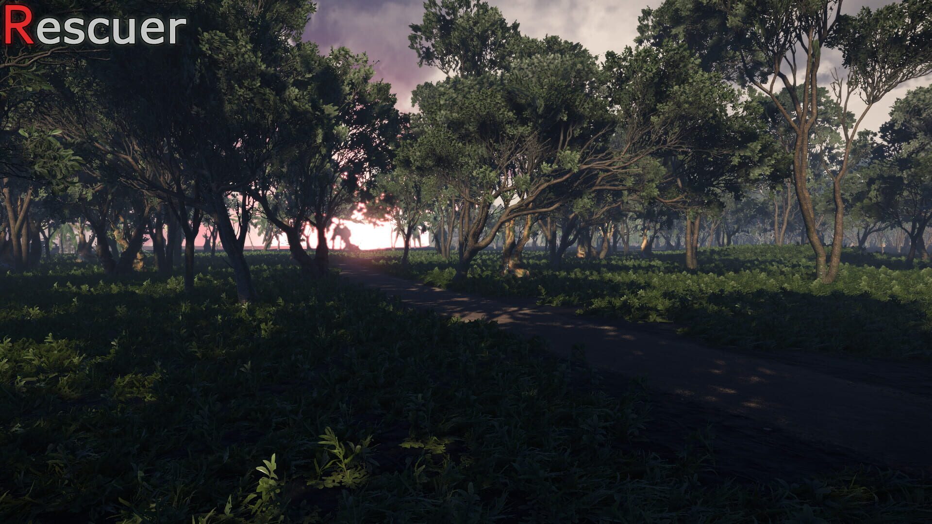 Screenshot for Rescuer