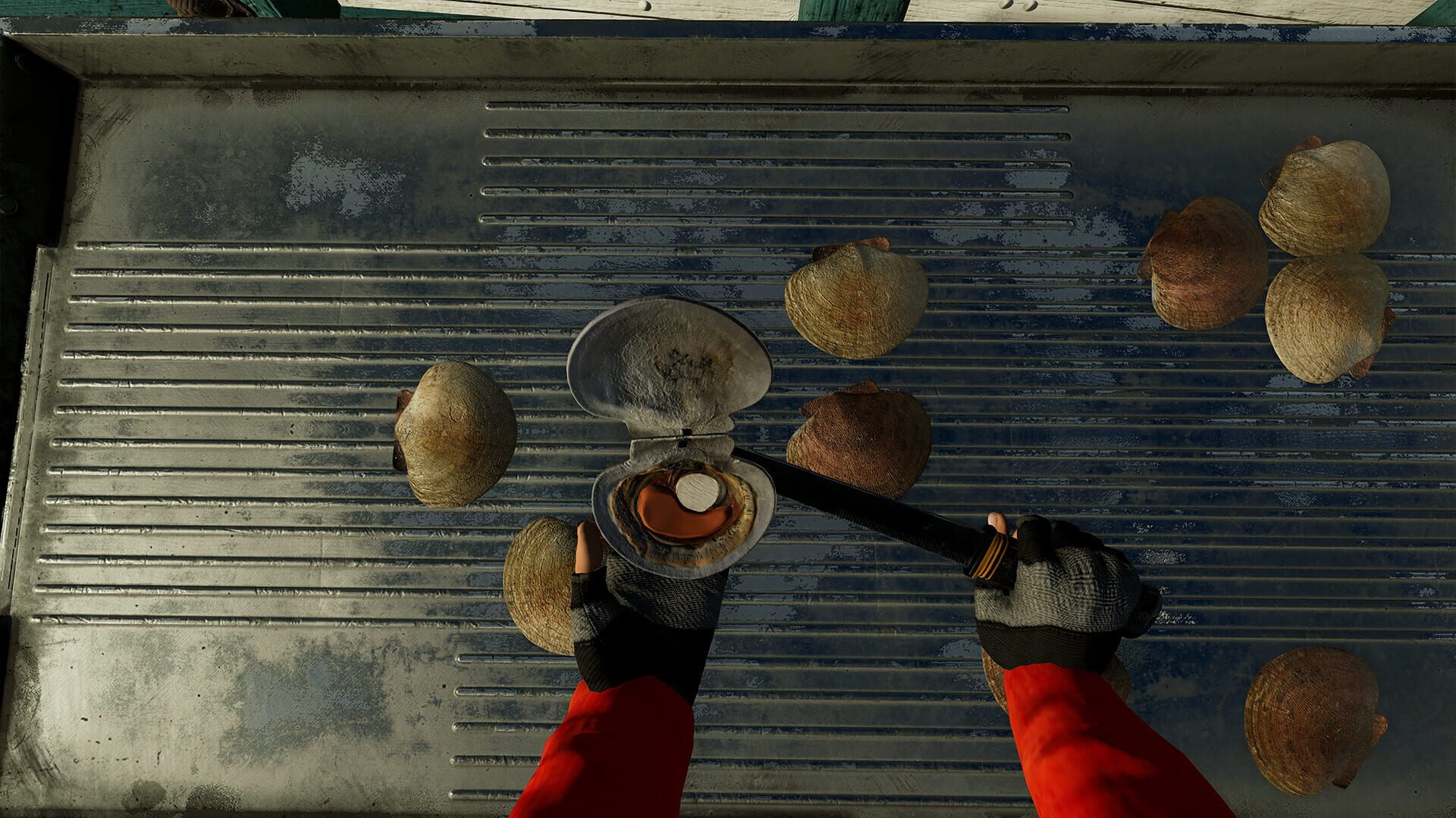 Screenshot for Fishing: North Atlantic - Scallops Expansion
