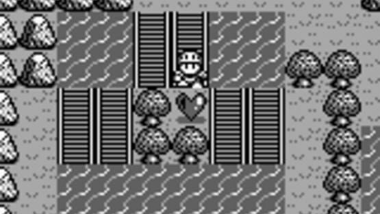 Screenshot for Rolan's Curse