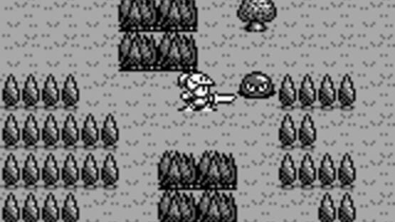 Screenshot for Rolan's Curse