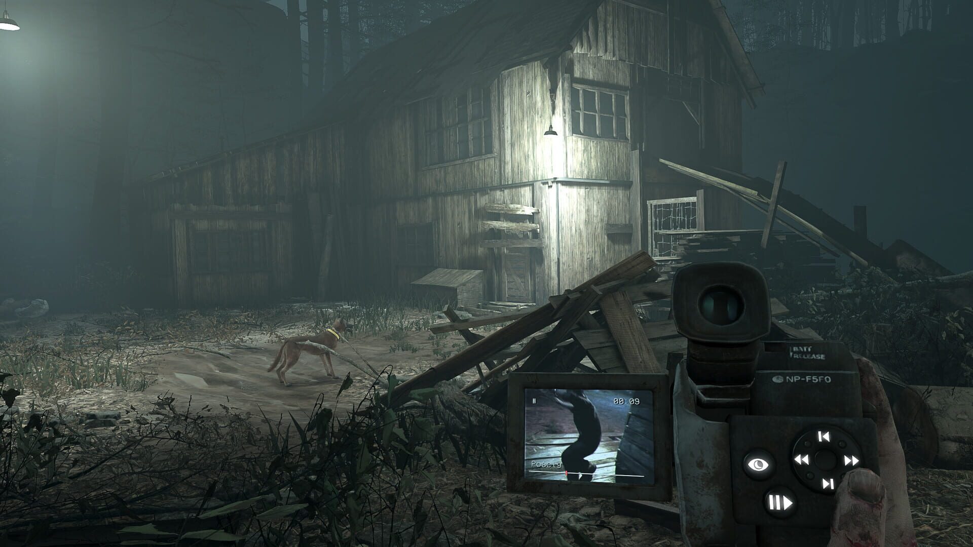 Screenshot for Blair Witch VR