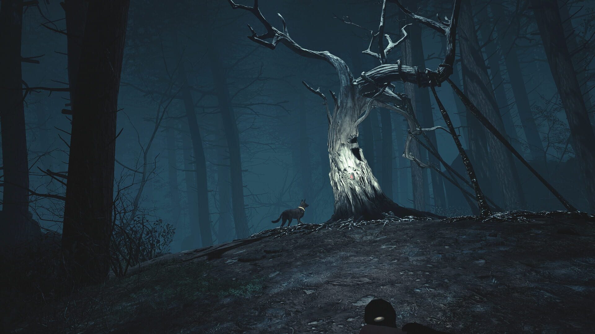 Screenshot for Blair Witch VR