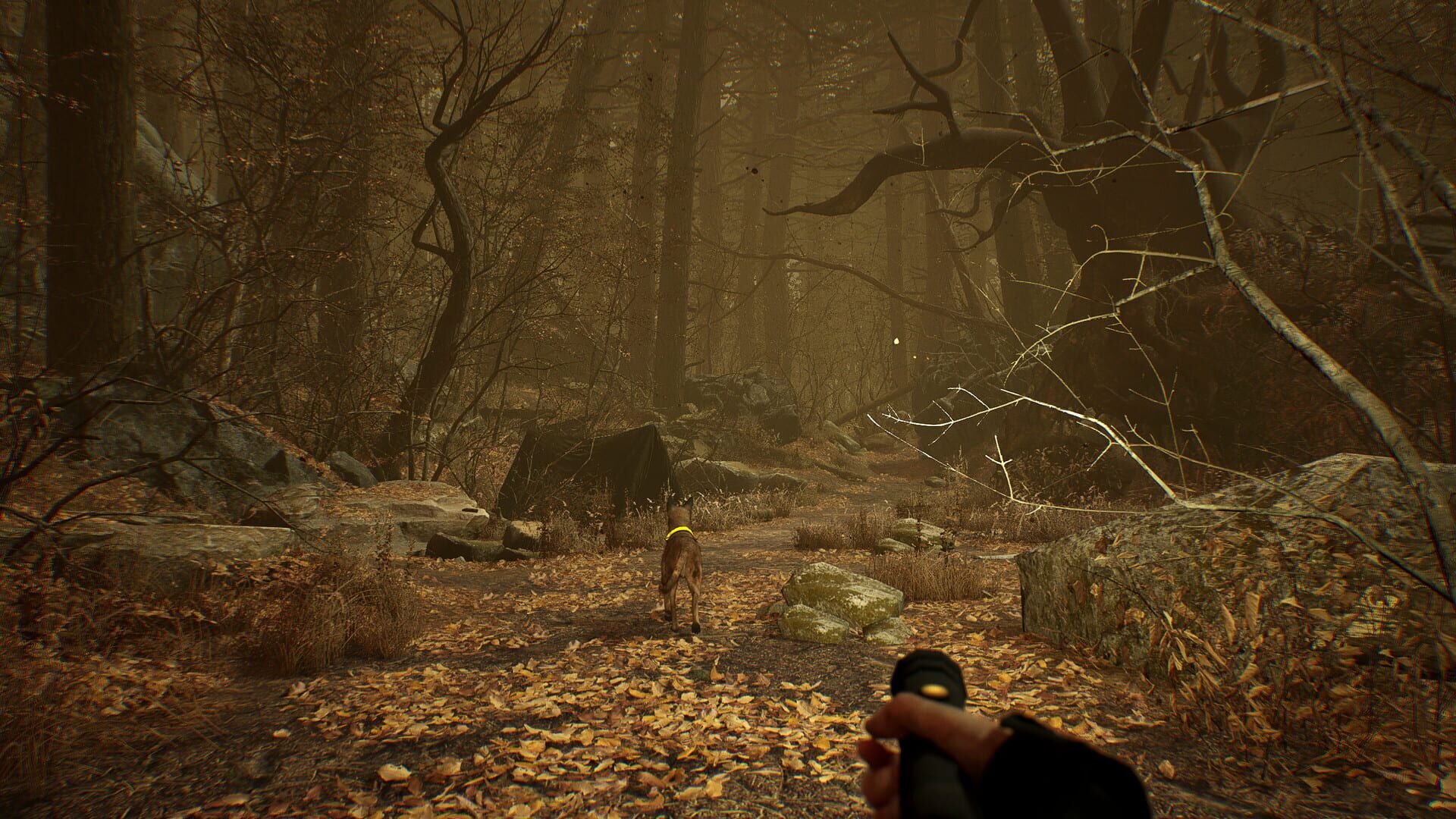 Screenshot for Blair Witch VR