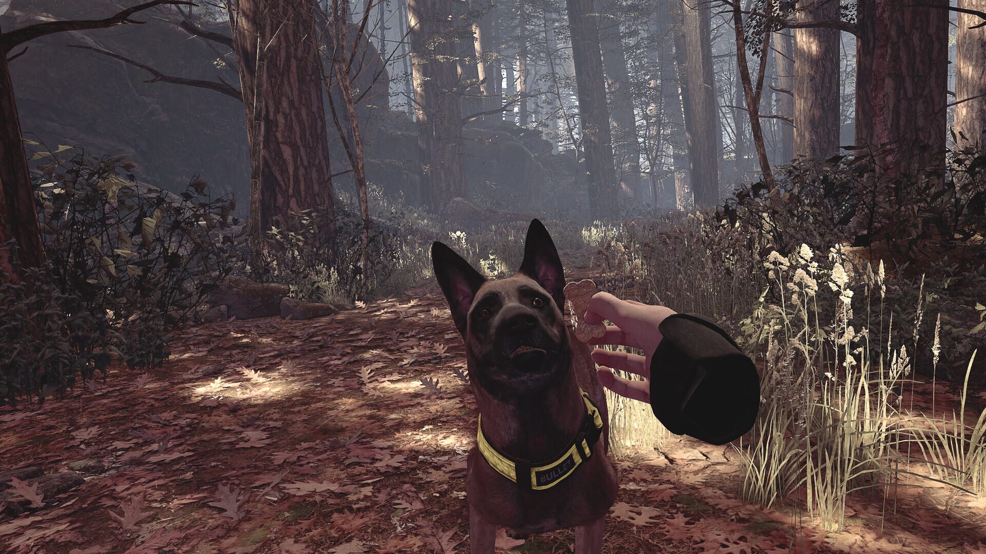 Screenshot for Blair Witch VR