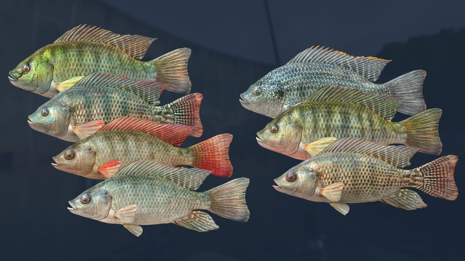 Screenshot for Ultimate Fishing Simulator: Kariba Dam DLC