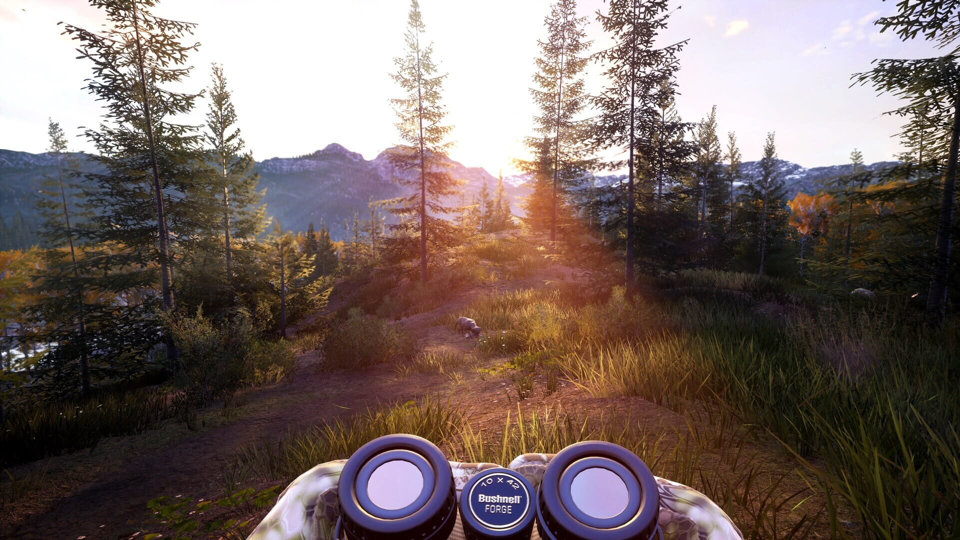 Screenshot for Hunting Simulator 2