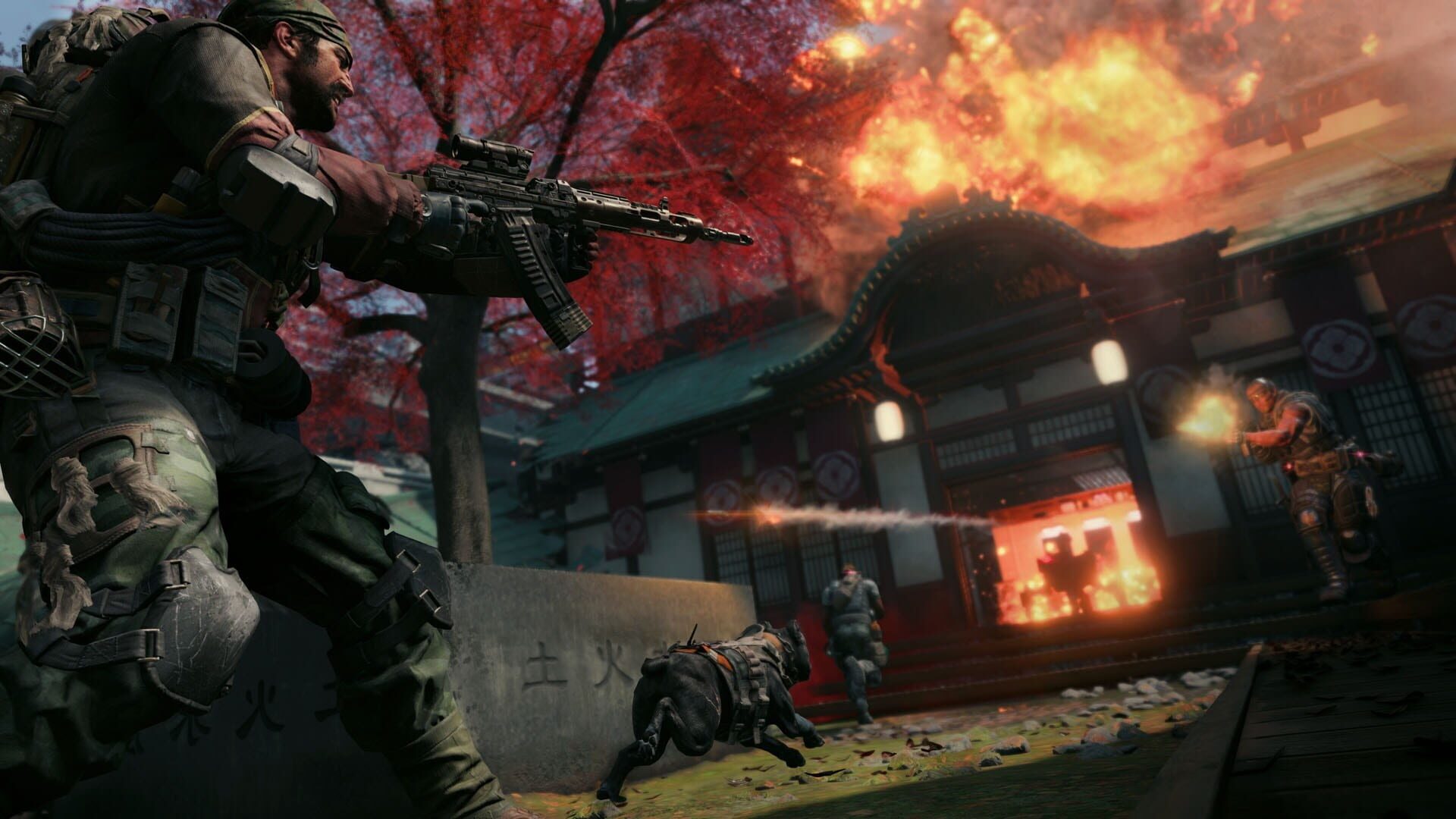 Screenshot for Call of Duty: Black Ops 4