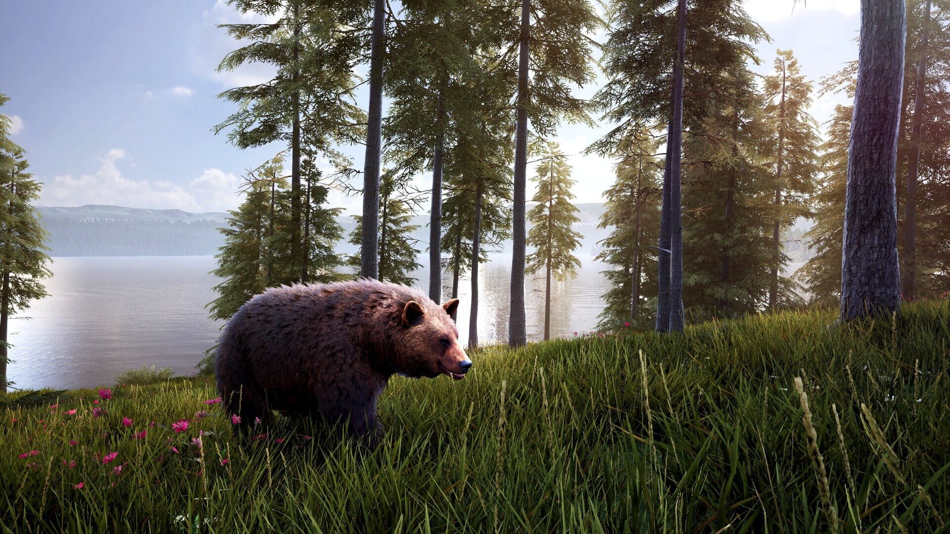 Screenshot for Hunting Simulator 2
