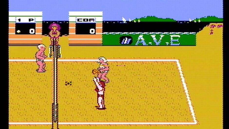 Screenshot for Venice Beach Volleyball