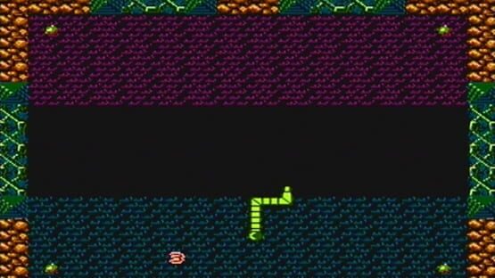 Screenshot for NeSnake 2