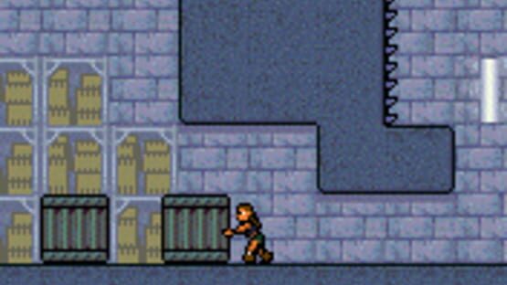 Screenshot for Tomb Raider: Elixir of Life