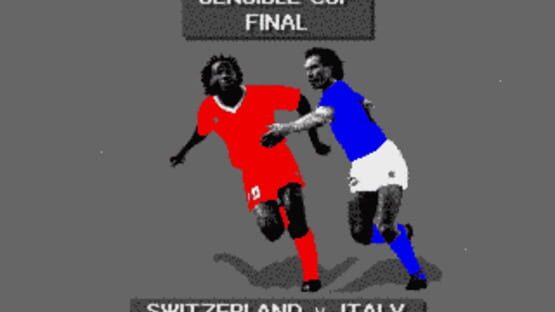Screenshot for Sensible Soccer: European Champions - 92/93 Edition