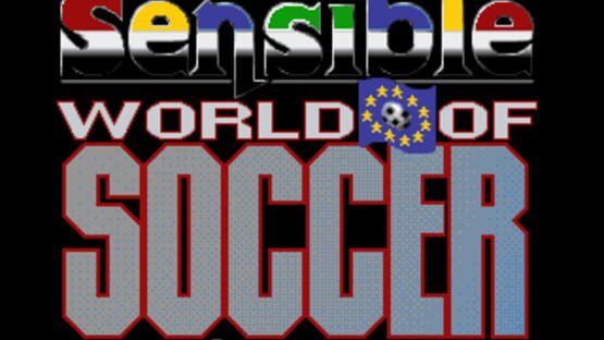 Screenshot for Sensible World of Soccer: European Championship Edition