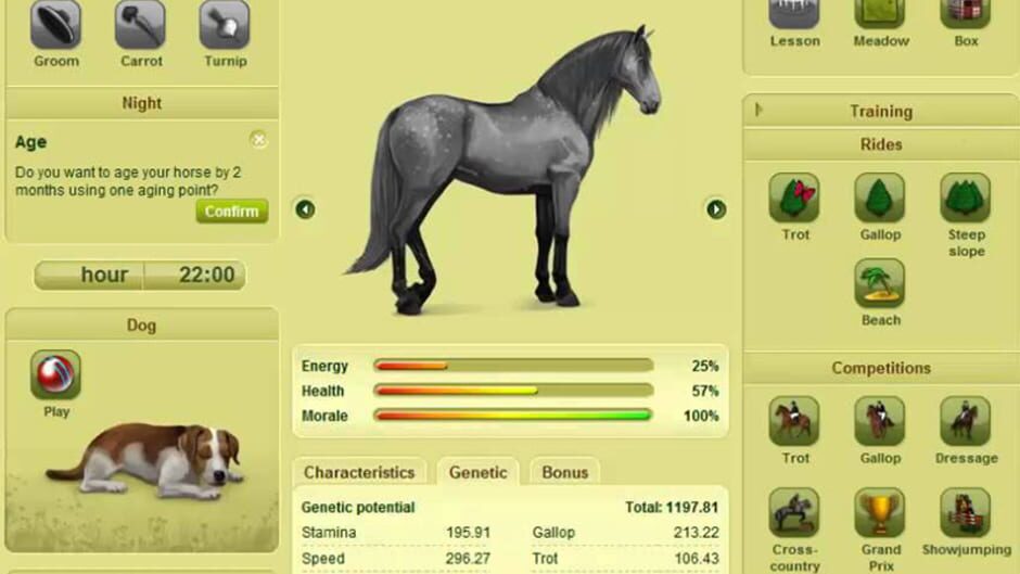 Screenshot for Howrse
