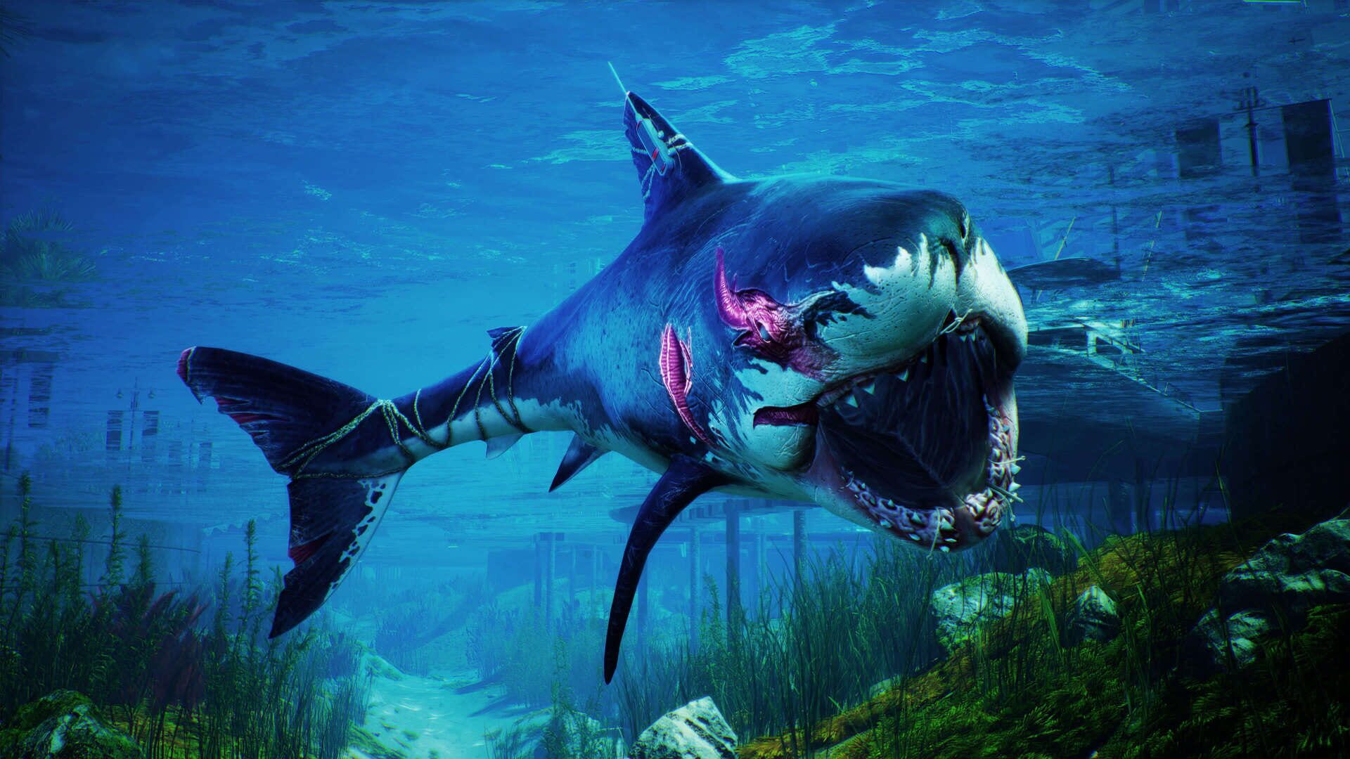 Screenshot for Maneater: Truth Quest