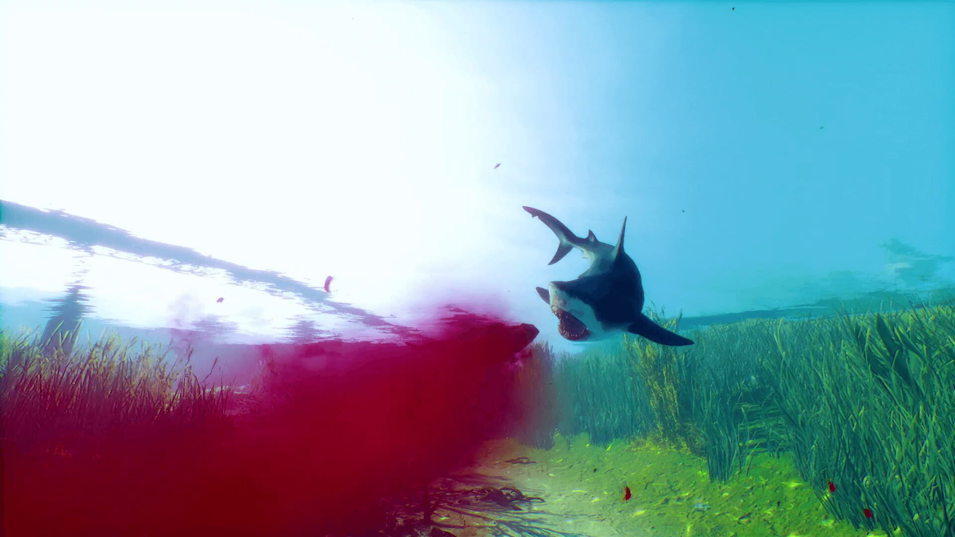 Screenshot for Maneater: Truth Quest