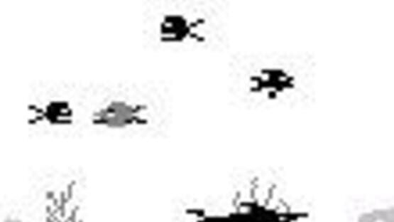 Screenshot for Shark! Shark!