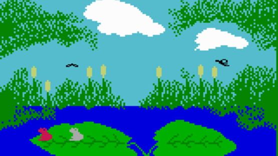 Screenshot for Frog Bog