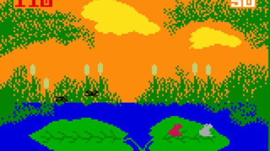 Screenshot for Frog Bog
