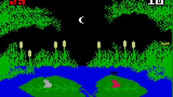Screenshot for Frog Bog