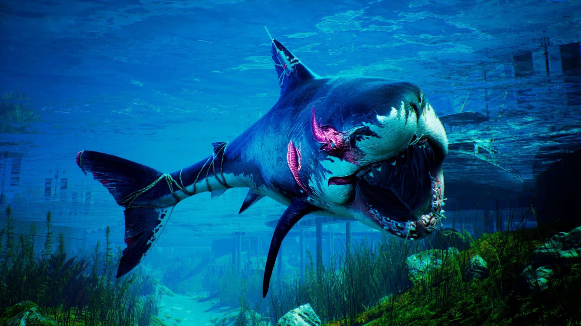 Screenshot for Maneater