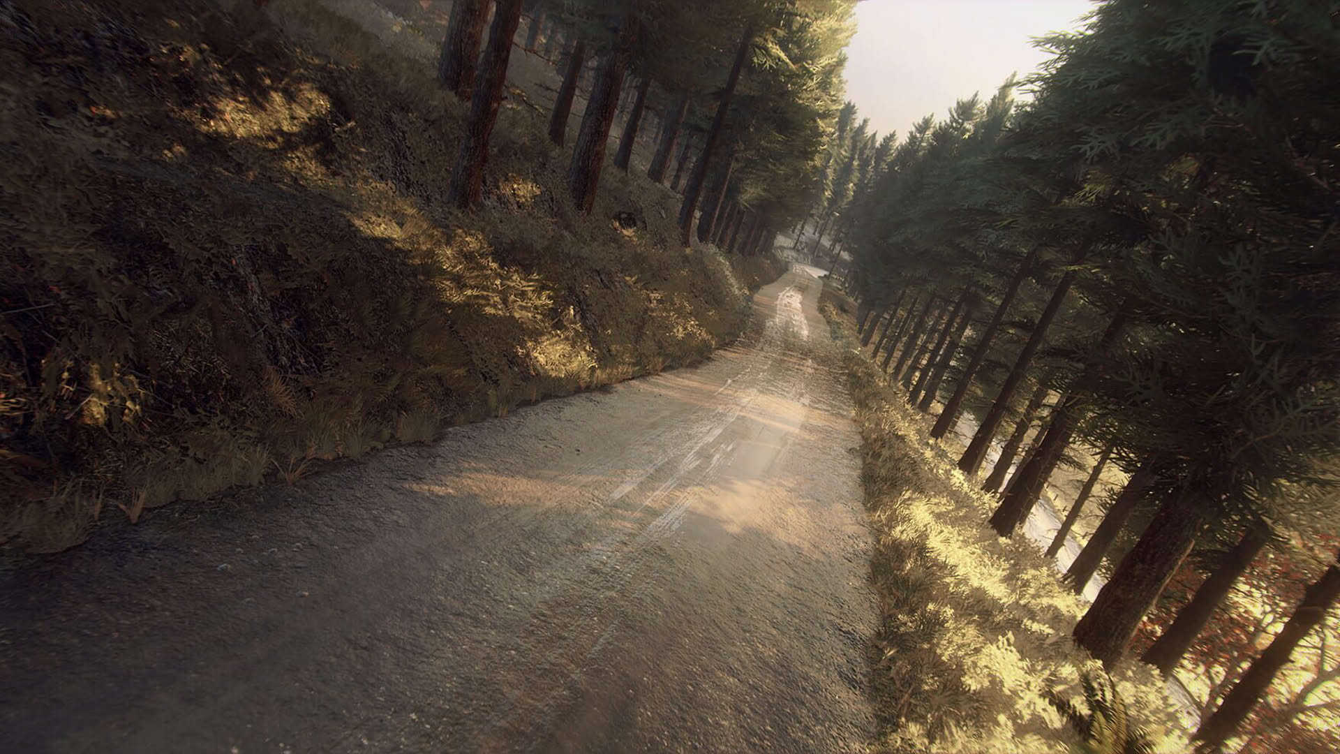 Screenshot for Dirt Rally 2.0: Colin McRae - Flat Out Pack