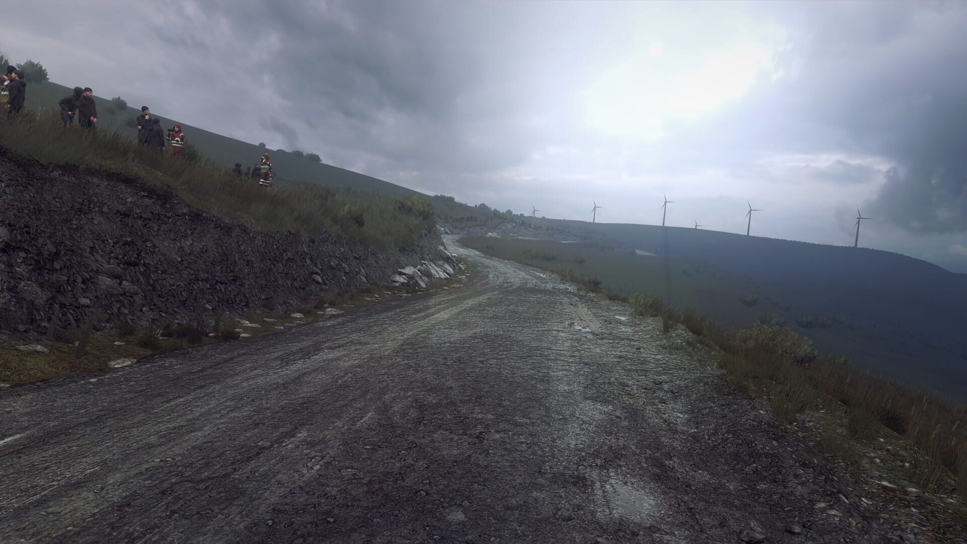 Screenshot for DiRT Rally 2.0: Wales (Rally Location)