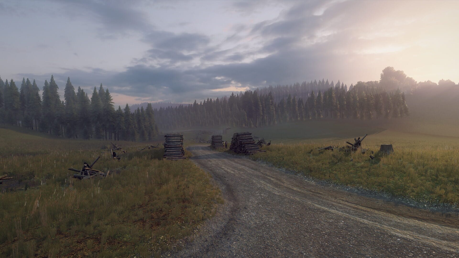 Screenshot for DiRT Rally 2.0: Wales (Rally Location)