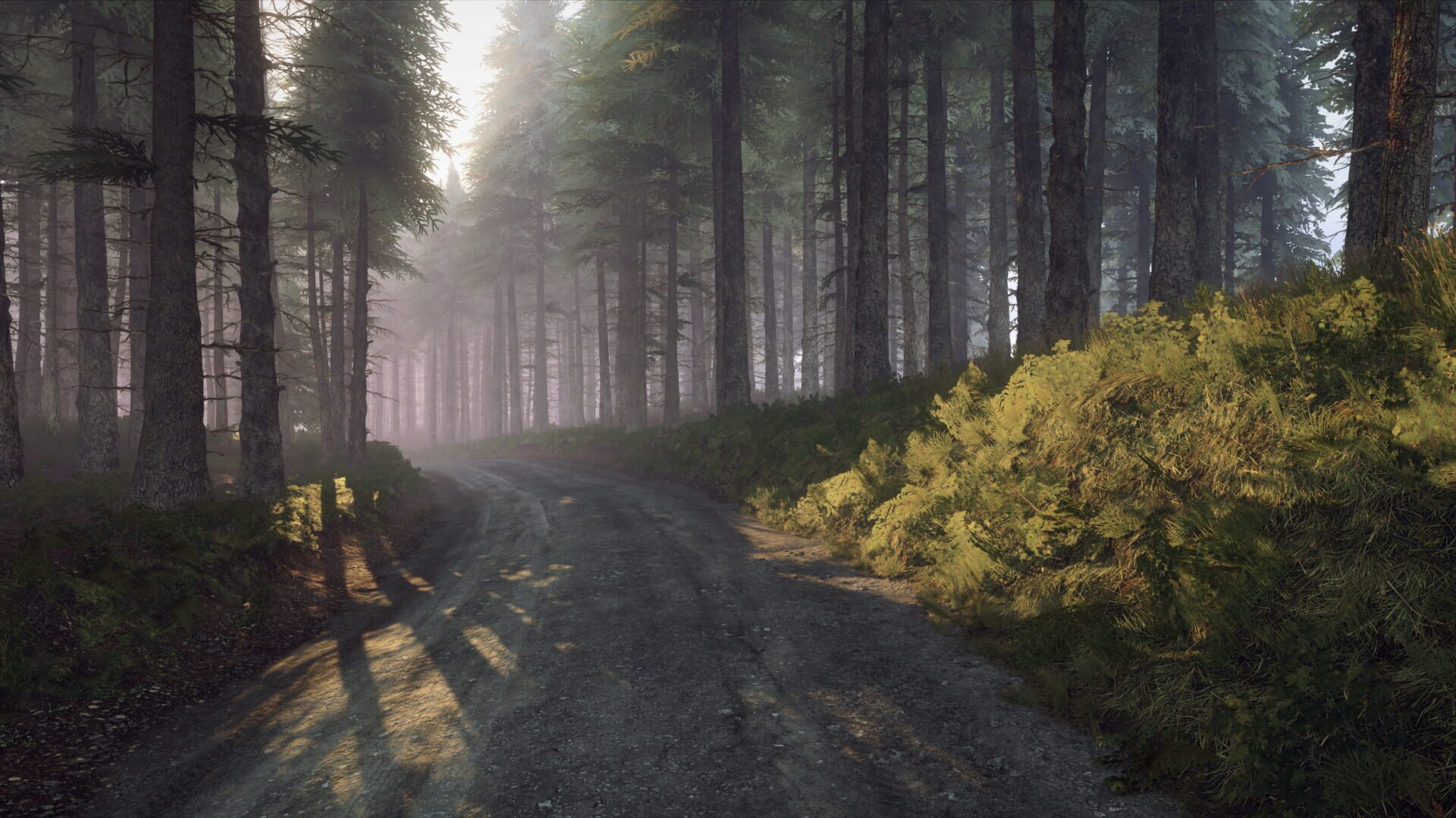 Screenshot for DiRT Rally 2.0: Wales (Rally Location)