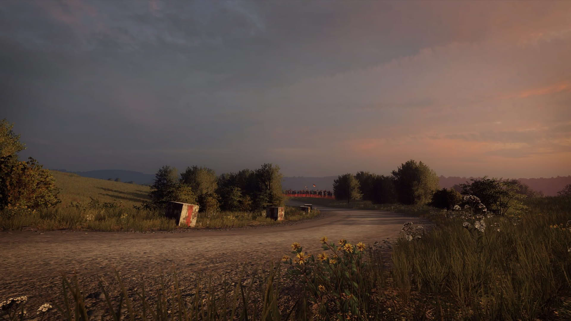 Screenshot for DiRT Rally 2.0: Germany (Rally Location)