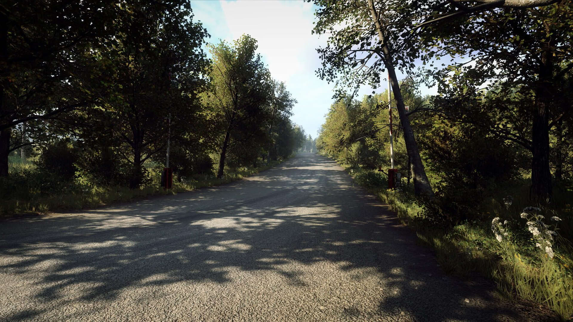 Screenshot for DiRT Rally 2.0: Germany (Rally Location)