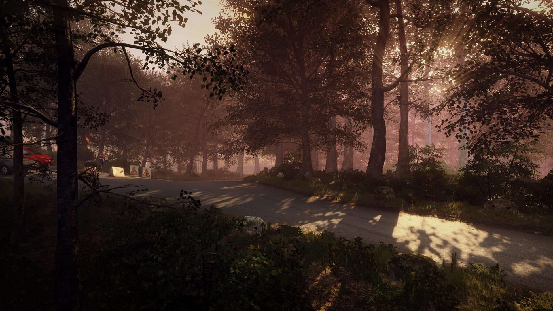 Screenshot for DiRT Rally 2.0: Germany (Rally Location)