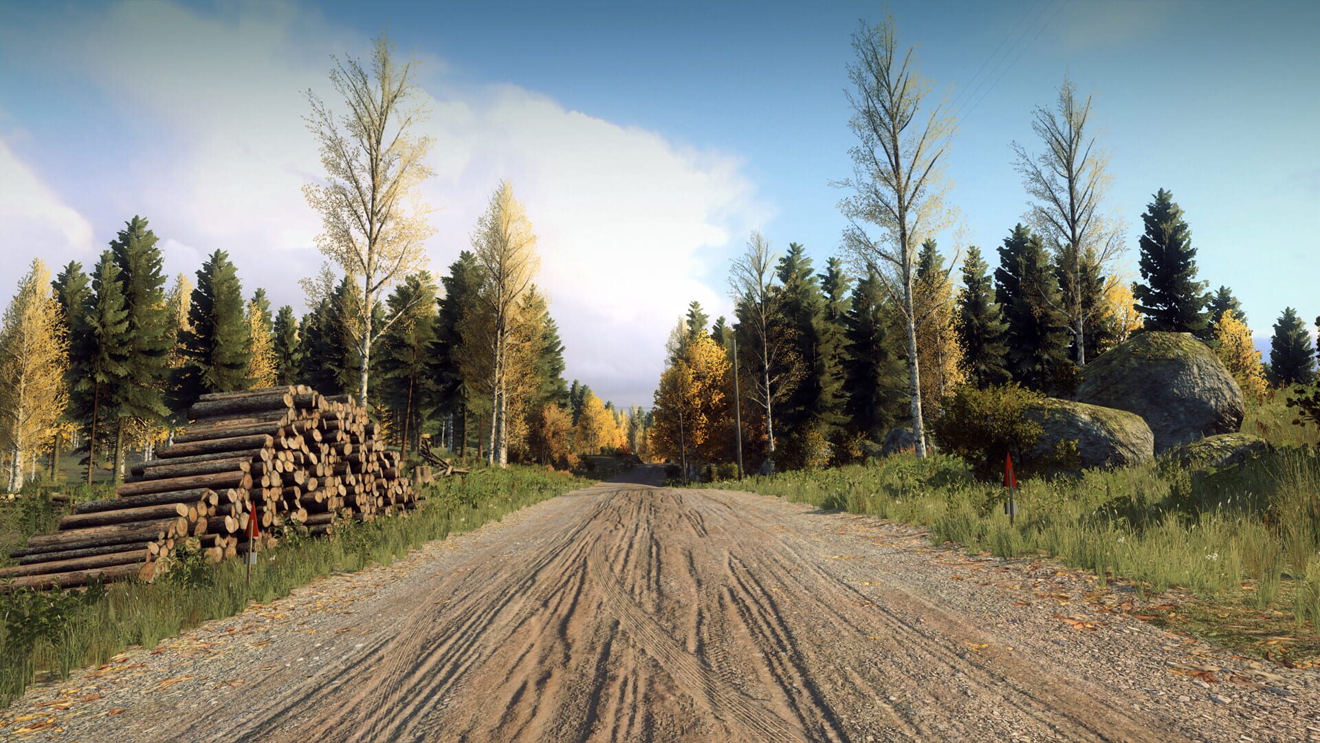 Screenshot for DiRT Rally 2.0: Finland (Rally Location)