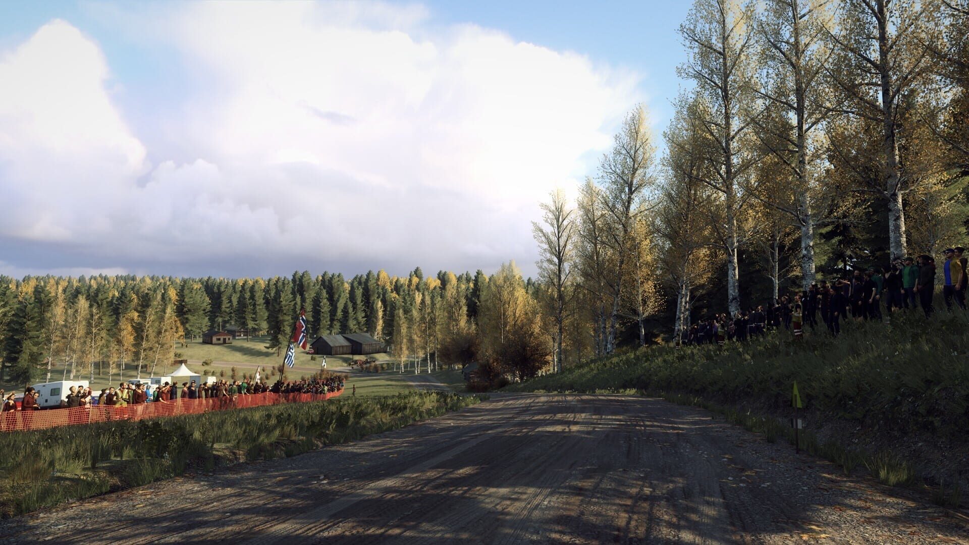 Screenshot for DiRT Rally 2.0: Finland (Rally Location)